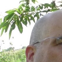 רן רבינר