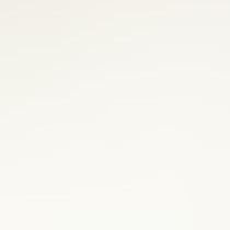  מוריס סויסה